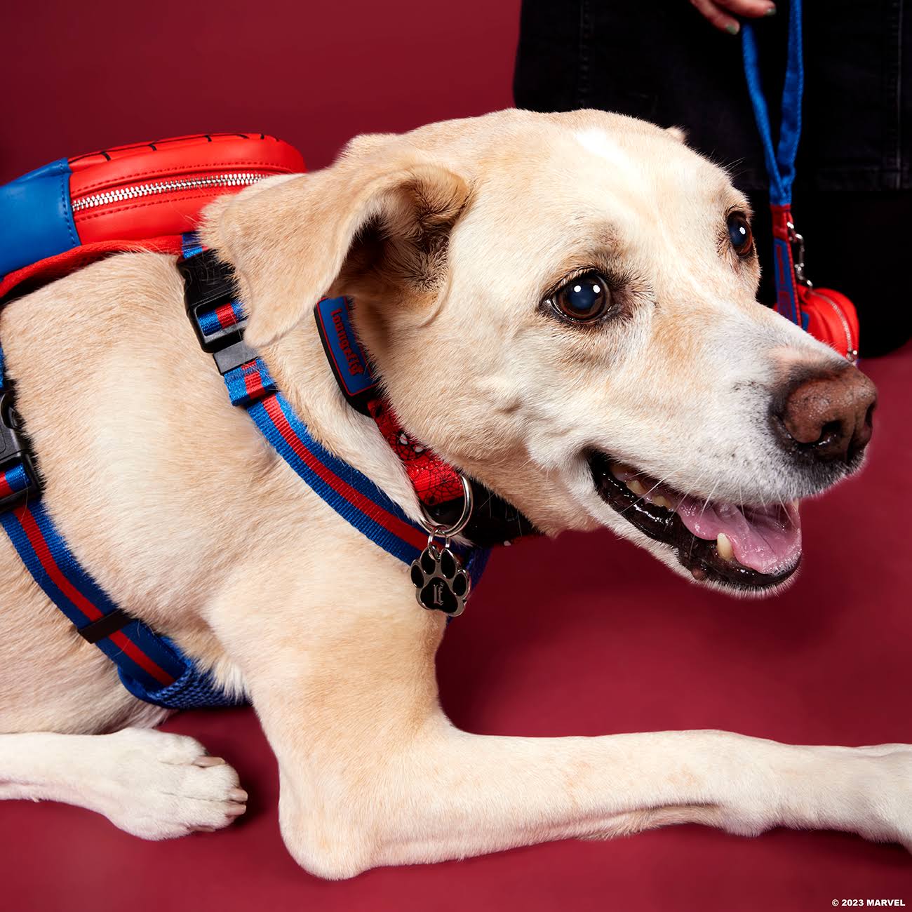 Loungefly Pets Marvel Spider Man Dog Collar-zoom-4