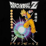 Dragon Ball Z Adult Unisex Hoodie-Small